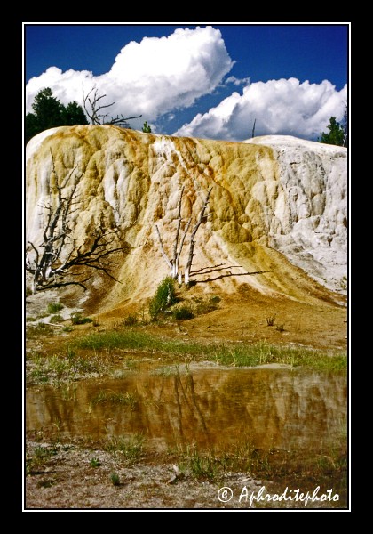 Yellowstone NP